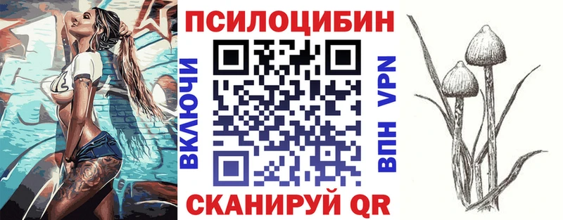 Галлюциногенные грибы Psilocybe  гидра ONION  Тетюши 